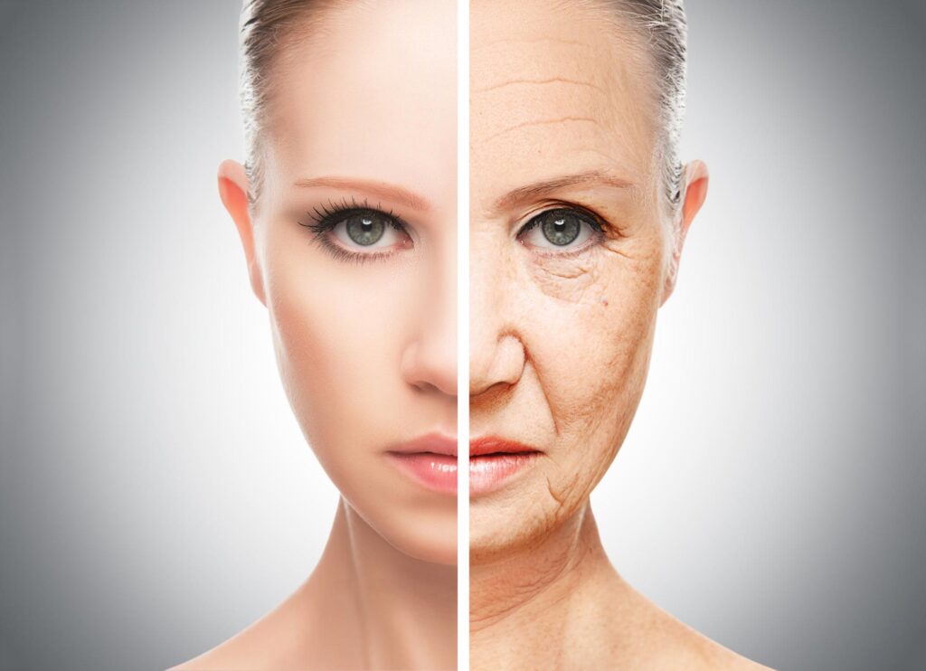 Le Prospettive Future: Diete e Farmaci Anti-Aging